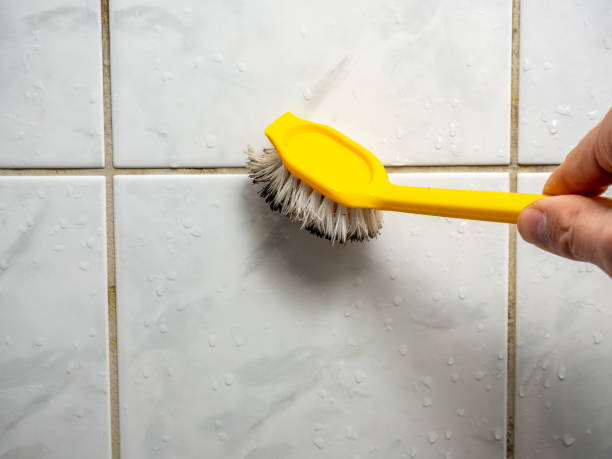 Best Mold Cleaning Services  in Burnet, TX