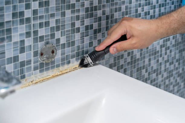 Best Mold Testing  in Burnet, TX