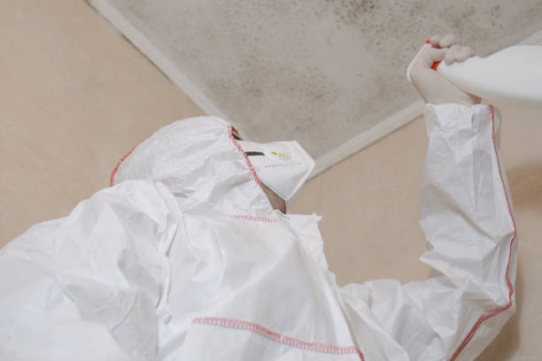 Best Commercial Mold Removal  in Burnet, TX