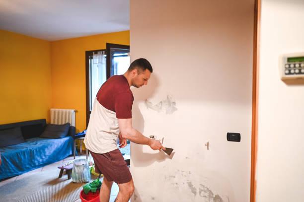 Best Emergency Mold Removal  in Burnet, TX