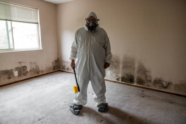 Best Crawl Space Mold Removal  in Burnet, TX